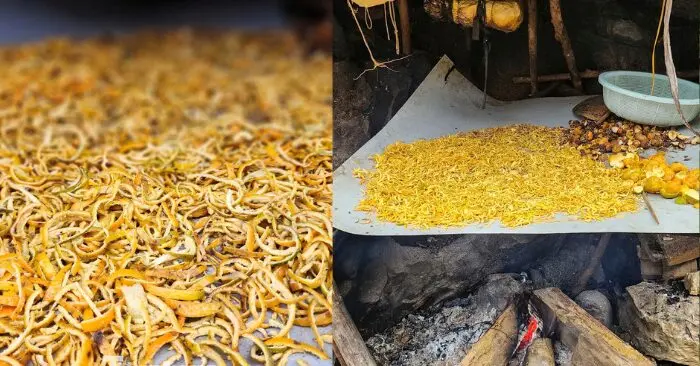quýt hoi Pù Luông