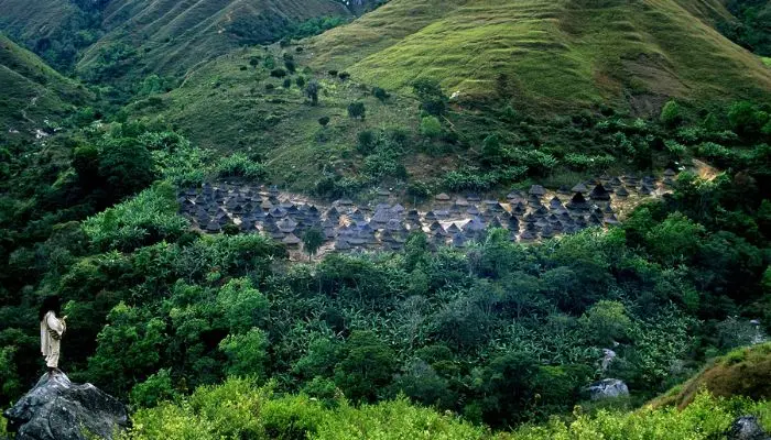 người Kogi