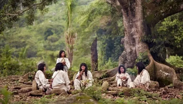 người Kogi