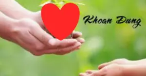 Thiện căn ở tại lòng ta – Gieo nhân thiện, gặt bình an từ trí huệ văn hóa phương Đông