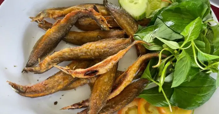 cá chạch