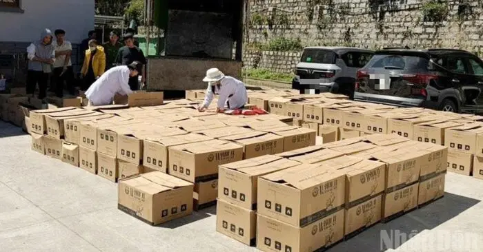 Cà phê giả