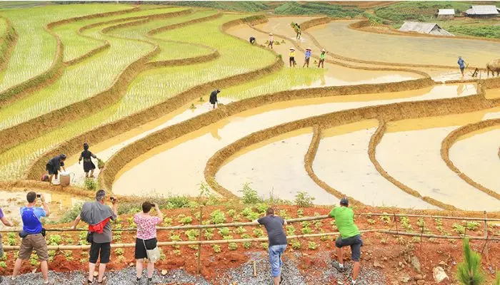 xu hướng du lịch
