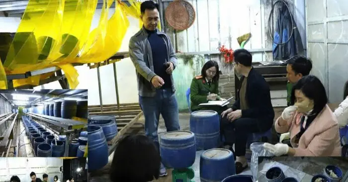 Giá đỗ pha nước kẹo bị phát hiện