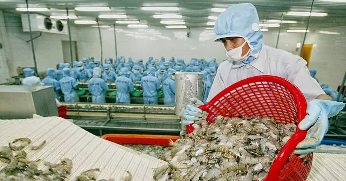 Xuất khẩu tôm và bức tranh tăng trưởng