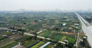 dự án khu công nghệ cao sinh học Hà Nội