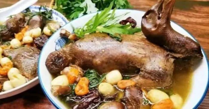 Thịt chim bồ câu