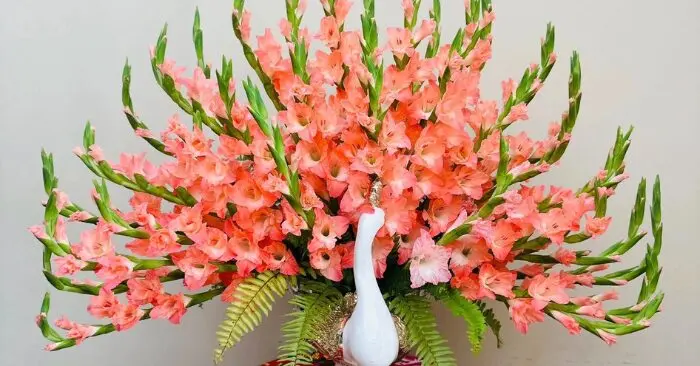 hoa ngày Tết