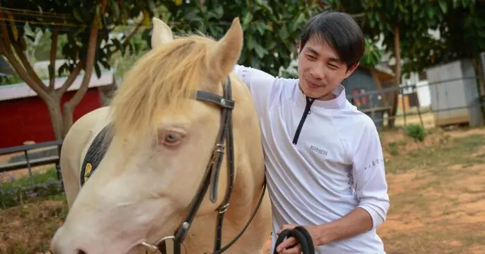 đam mê nuôi ngựa