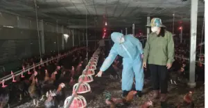 mô hình trang trại kết hợp điện mặt trời