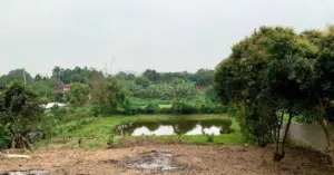 thay đổi về đất đai và xây dựng