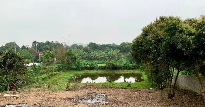 thay đổi về đất đai và xây dựng