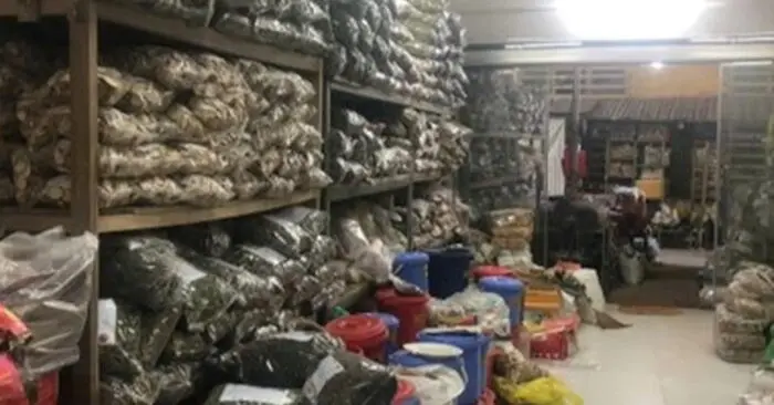 Hoa quả khô không rõ nguồn gốc