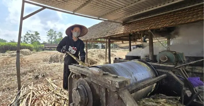 làng nấu mật mía Nghĩa Hành