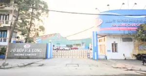 Công ty Đồ hộp Hạ Long báo lỗ gần 10 tỷ đồng