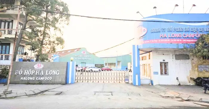 Công ty Đồ hộp Hạ Long báo lỗ gần 10 tỷ đồng
