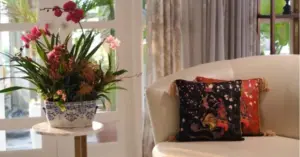Cách bài trí lan hồ điệp