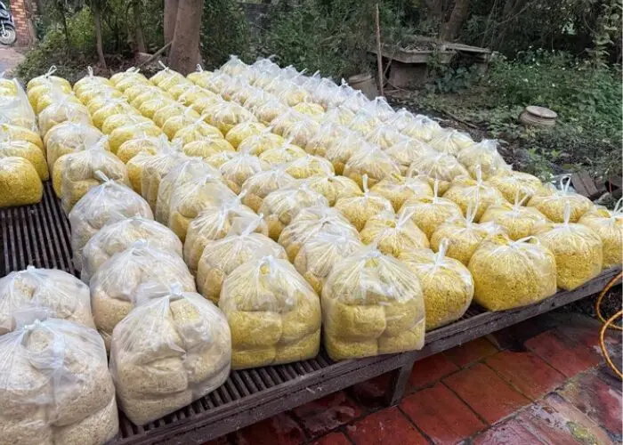  riềng xay trộn chất cấm