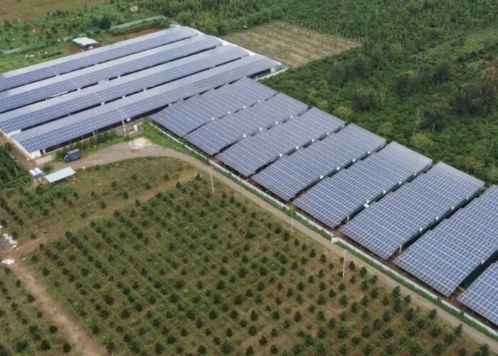  mô hình trang trại kết hợp điện mặt trời