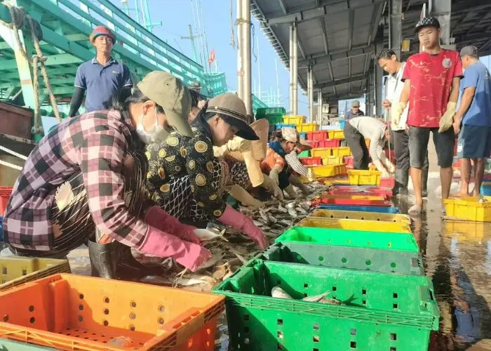 đón Tết trên biển