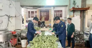 sản xuất giò chả chứa hàn the