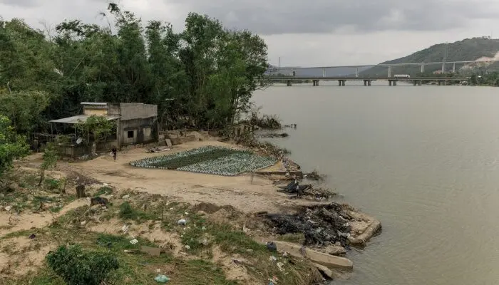 Tết sau lũ