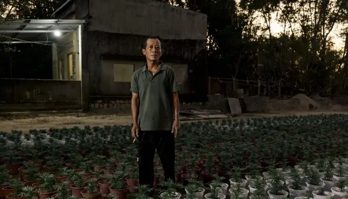 Tết sau lũ