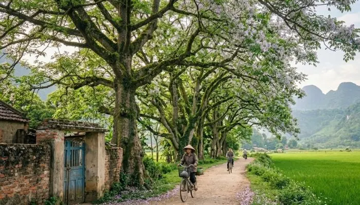 Bài thơ Bồi hồi tháng ba