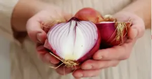 hỗ trợ giải độc gan bằng hành tây