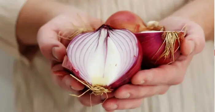 hỗ trợ giải độc gan bằng hành tây