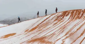 tuyết rơi ở sa mạc Sahara