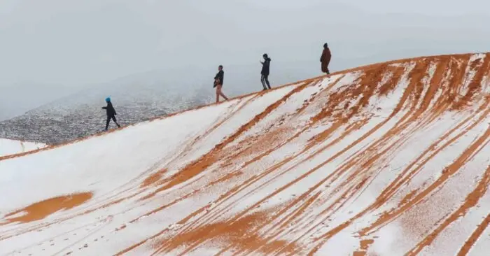 tuyết rơi ở sa mạc Sahara