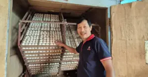 mô hình chăn nuôi gia cầm