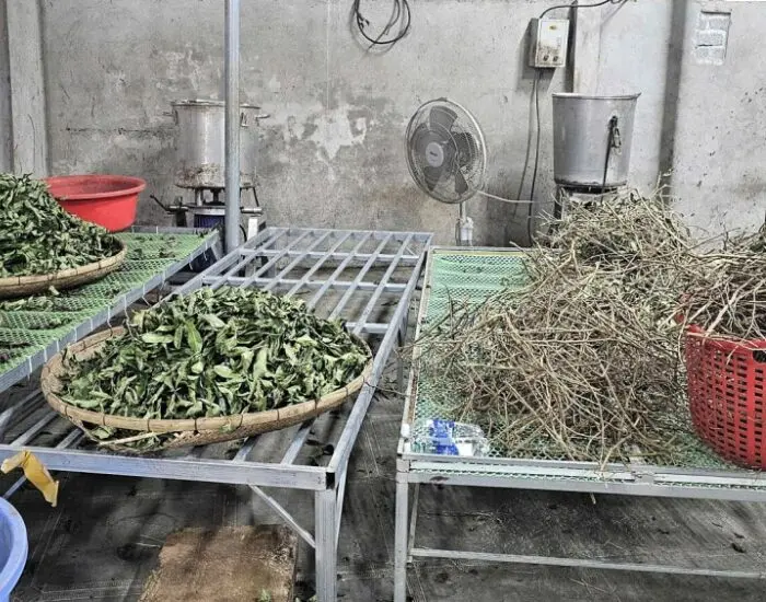 đường dây dược liệu giả Hoàng Minh Đường