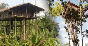 Bộ tộc Korowai