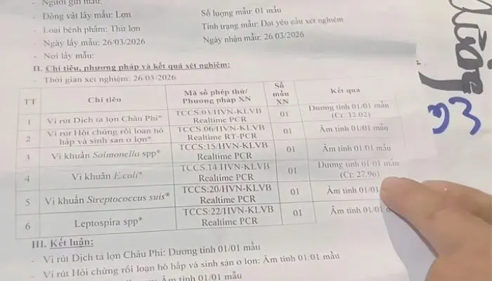 nghi vấn thịt lợn nhiễm dịch tại trường mầm non Hòa Bình