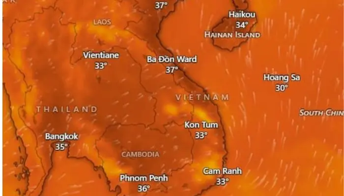 Bài thơ Nhân quả