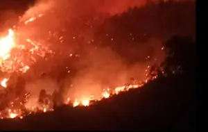 Hàng trăm người xuyên đêm cứu rừng, ngăn cháy lan vào khu dân cư khi đám cháy vẫn bùng phát dữ dội, gây nhiều lo ngại.