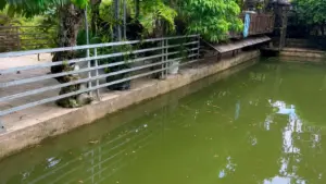 Hai chị em ruột đuối nước tại ao gần nhà ở Quỳ Hợp, Nghệ An. Cảnh báo nguy cơ tai nạn đuối nước ở trẻ nhỏ.