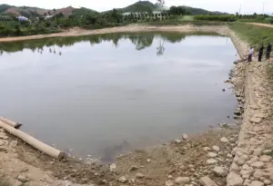 Lấy mẫu nước ở đập thủy điện để xác định nguyên nhân cá chết bất thường, cơ quan chức năng đang khẩn trương kiểm tra hiện trường.