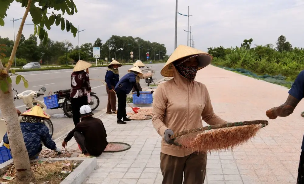 Thanh Hóa: vỉa hè phủ kín “lộc biển” từ moi tươi, phản ánh sinh kế mùa biển và nhịp sống truyền thống của làng chài ven biển.