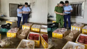 Phát hiện hơn 1.000 sản phẩm thực phẩm không rõ nguồn gốc tại Thanh Hóa, lực lượng chức năng tăng cường kiểm tra, xử lý vi phạm.