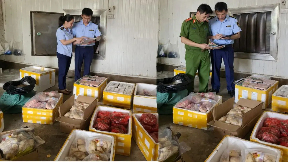 Phát hiện hơn 1.000 sản phẩm thực phẩm không rõ nguồn gốc tại Thanh Hóa, lực lượng chức năng tăng cường kiểm tra, xử lý vi phạm.