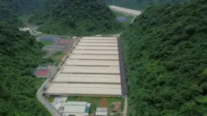 Từ sự cố tại DaBaCo Thanh Hóa, bài toán nội hóa chi phí an toàn môi trường trong chăn nuôi quy mô lớn được đặt ra.
