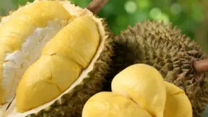Ai nên thận trọng khi ăn sầu riêng? Tìm hiểu những nhóm người cần hạn chế loại quả này để bảo vệ sức khỏe và ăn đúng cách