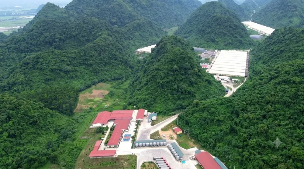 Rà soát, tổng kiểm tra toàn bộ các cơ sở chăn nuôi sau sự cố tai nạn lao động nghiêm trọng khiến 5 công nhân tử vong tại trang trại lợn