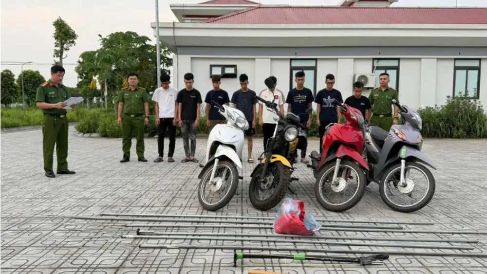 Hơn 100 thanh thiếu niên mang phóng lợn gây náo loạn