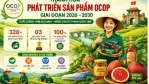 Thanh Hóa đặt mục tiêu 100% sản phẩm OCOP được truy xuất nguồn gốc, quản lý trên nền tảng số, nâng cao giá trị và minh bạch sản phẩm.
