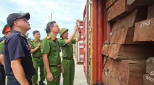 Lực lượng chức năng vừa phát hiện 1,2 tấn ngà voi cất giấu tinh vi trong 3 container gỗ nhập khẩu.