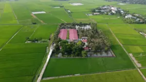 Trại lợn gần khu dân cư ở Thanh Hóa khiến hàng trăm hộ dân bức xúc vì mùi hôi, nước thải kéo dài nhiều năm.